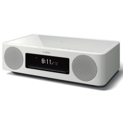 YAMAHA MUSICCAST200 TSXN237D MUSIKIT LYON
