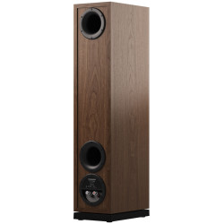 Dynaudio Contour Legacy Musikit Lyon