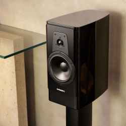 Dynaudio Contour20 Black Edition Musikit Lyon