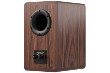 Dynaudio Legend Musikit Lyon