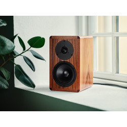 Dynaudio Legend Musikit Lyon