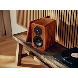 Dynaudio Legend Musikit Lyon