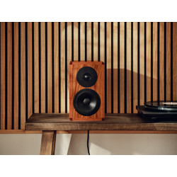 Dynaudio Legend Musikit Lyon